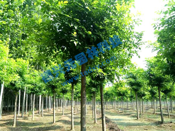 �c���鿴Ԕ����Ϣ���}����Ϟ ��x�Δ�(sh��)��2401