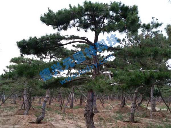 �c���鿴Ԕ����Ϣ���}������ ��x�Δ�(sh��)��2454