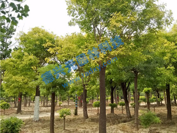 �c���鿴Ԕ����Ϣ���}�����~�� ��x�Δ���2322